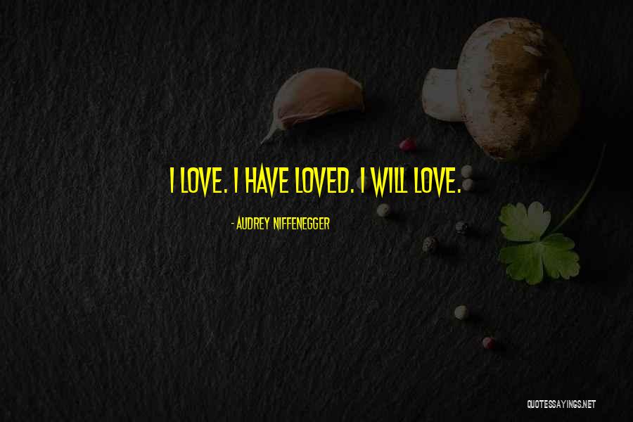 Introverted Personality Attitude Quotes By Audrey Niffenegger
