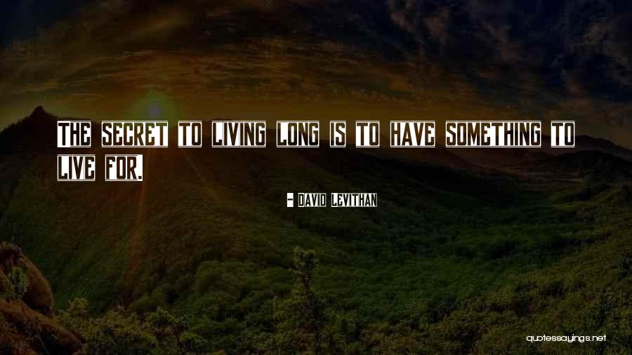 Introverted Personality Attitude Quotes By David Levithan