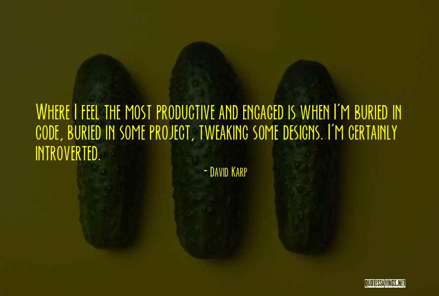 Introverted Quotes By David Karp Introverted Quotes By David Karp