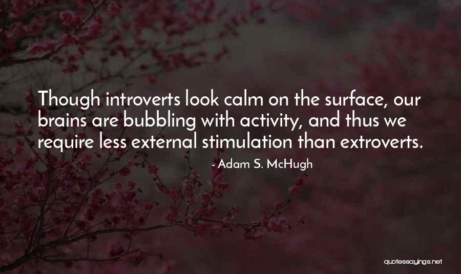 Introverts And Extroverts Quotes By Adam S. McHugh