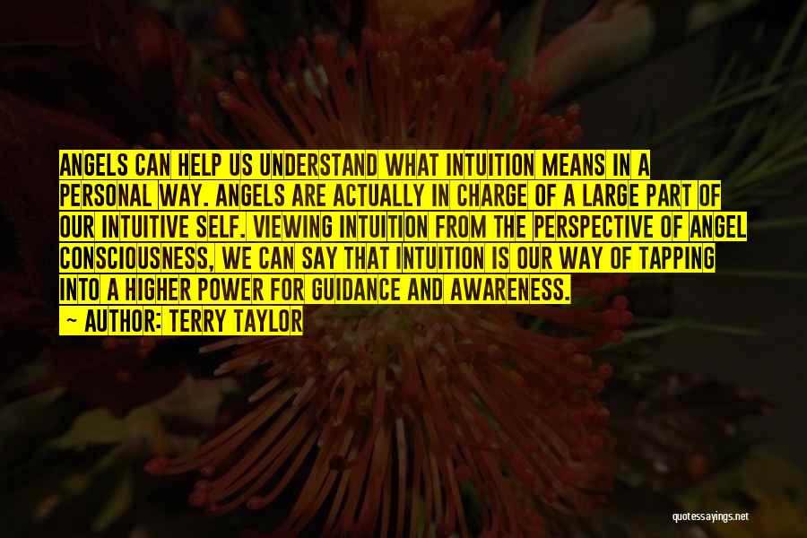 Intuitive Guidance Quotes By Terry Taylor