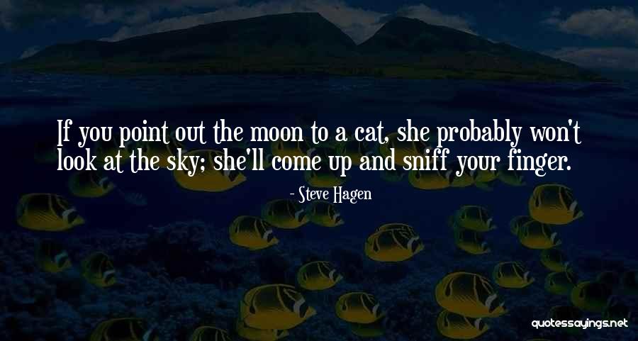 Intuyo En Quotes By Steve Hagen Intuyo En Quotes By Steve Hagen