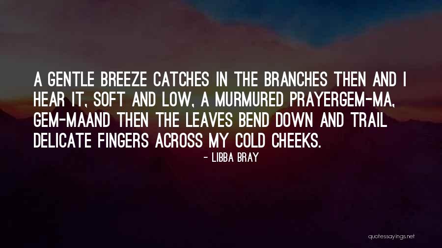 Invadatorii Quotes By Libba Bray Invadatorii Quotes By Libba Bray