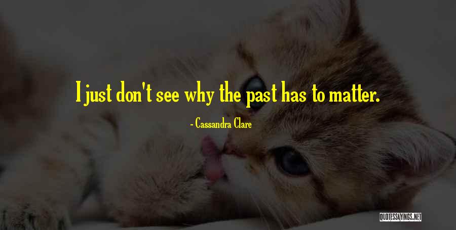 Invades Syria Quotes By Cassandra Clare Invades Syria Quotes By Cassandra Clare