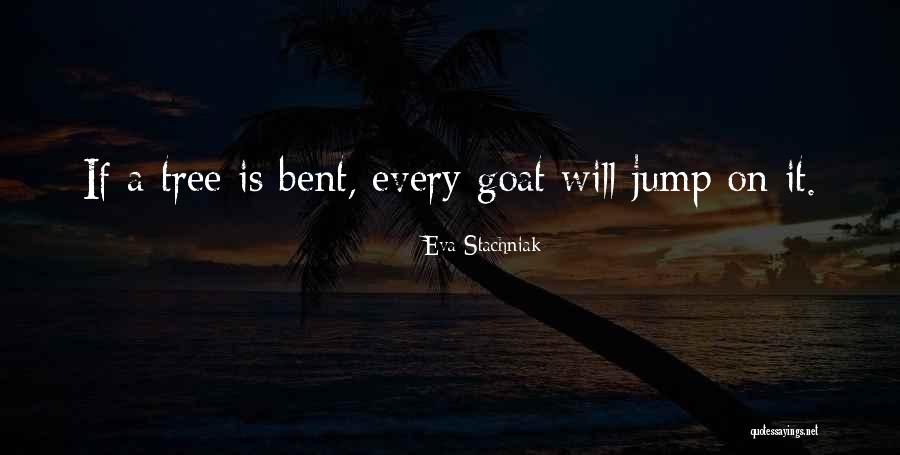 Invasives Vines Quotes By Eva Stachniak Invasives Vines Quotes By Eva Stachniak