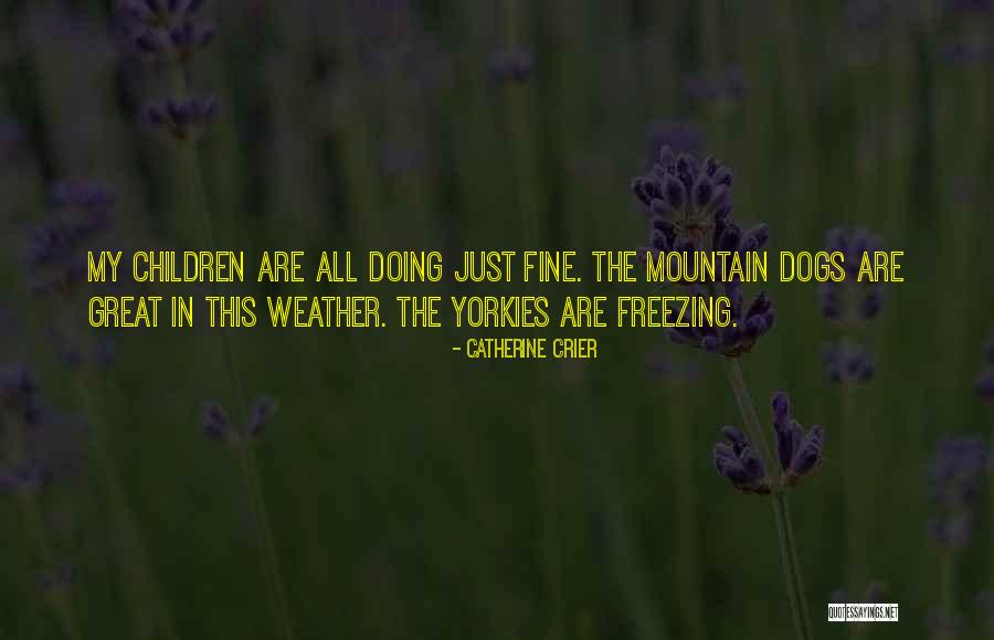 Invatam Culorile Quotes By Catherine Crier Invatam Culorile Quotes By Catherine Crier