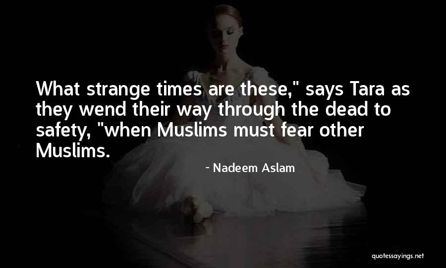 Invective Crossword Quotes By Nadeem Aslam Invective Crossword Quotes By Nadeem Aslam