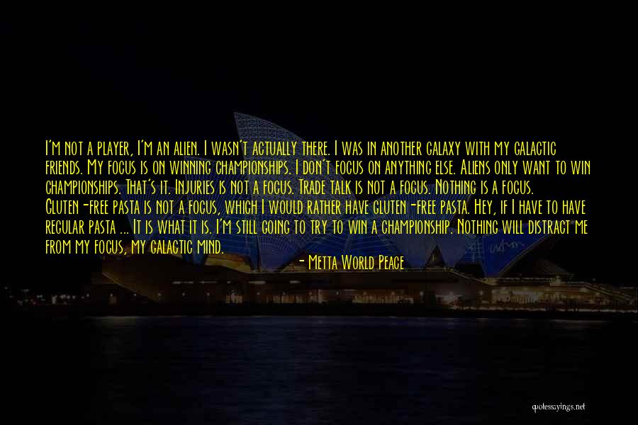 Inventaris Onroerend Quotes By Metta World Peace Inventaris Onroerend Quotes By Metta World Peace