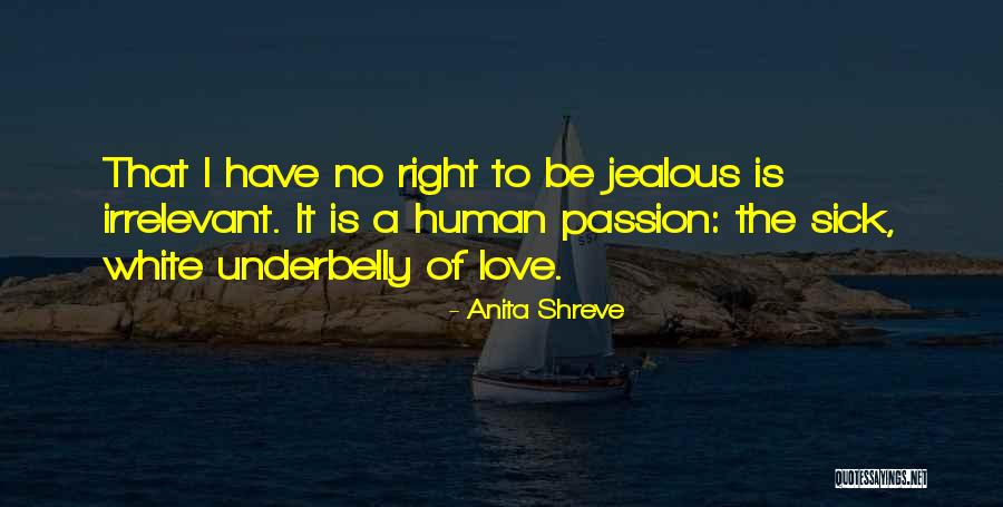 Inventateq Quotes By Anita Shreve Inventateq Quotes By Anita Shreve