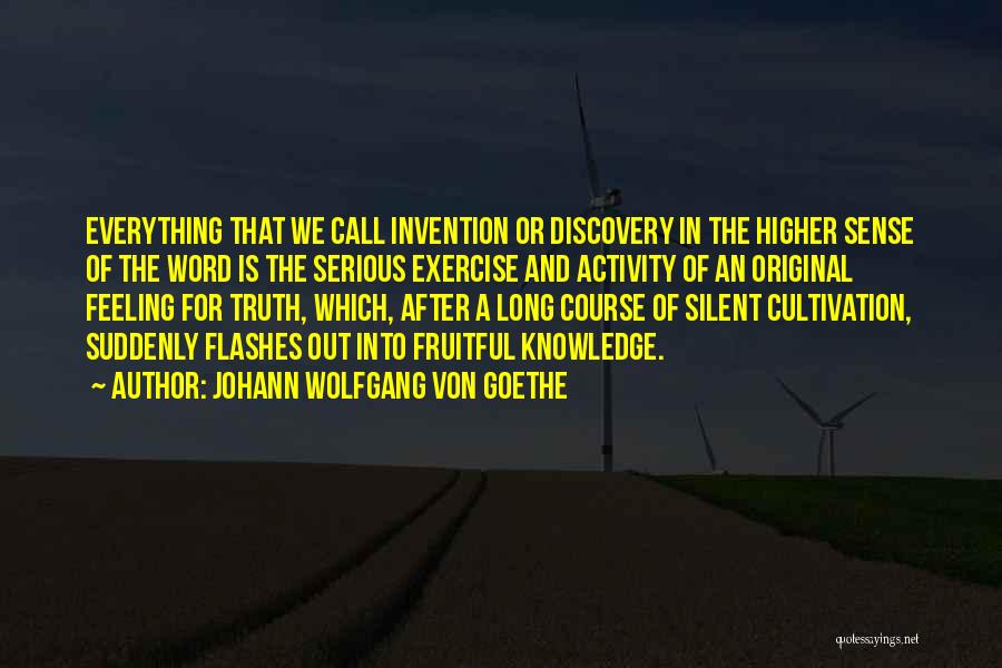 Invention And Discovery Quotes By Johann Wolfgang Von Goethe