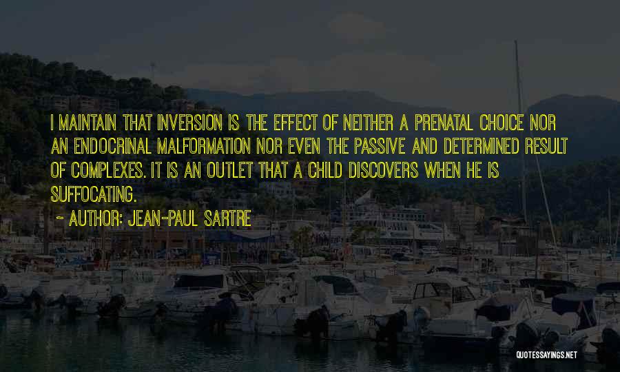 Inversion Quotes By Jean-Paul Sartre