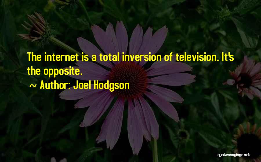 Inversion Quotes By Joel Hodgson