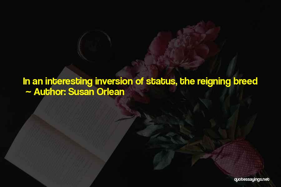 Inversion Quotes By Susan Orlean