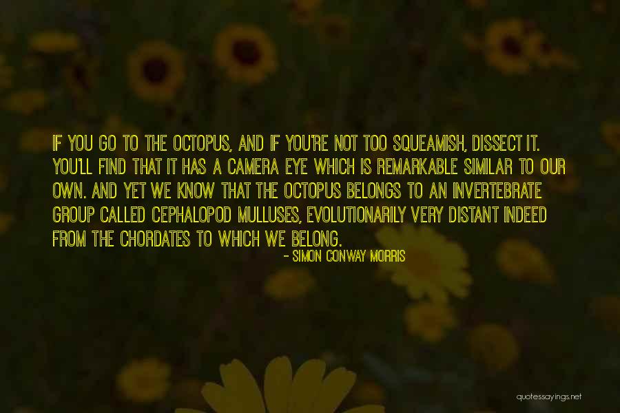 Invertebrate Quotes By Simon Conway Morris