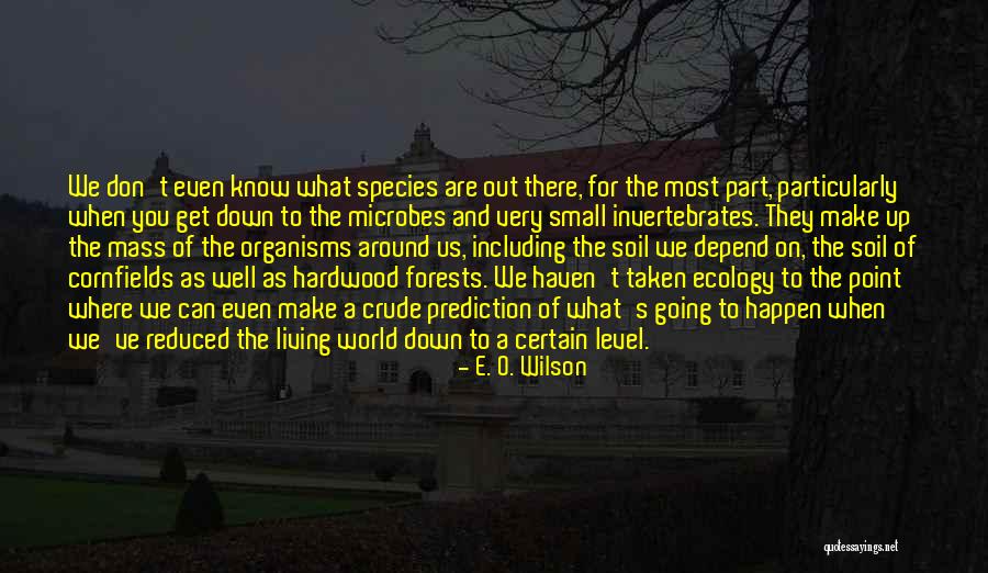 Invertebrates Quotes By E. O. Wilson