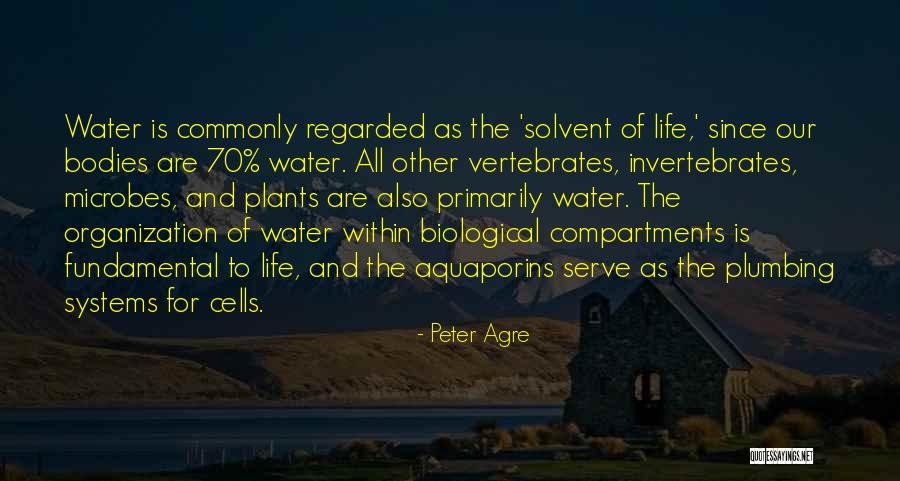 Invertebrates Quotes By Peter Agre