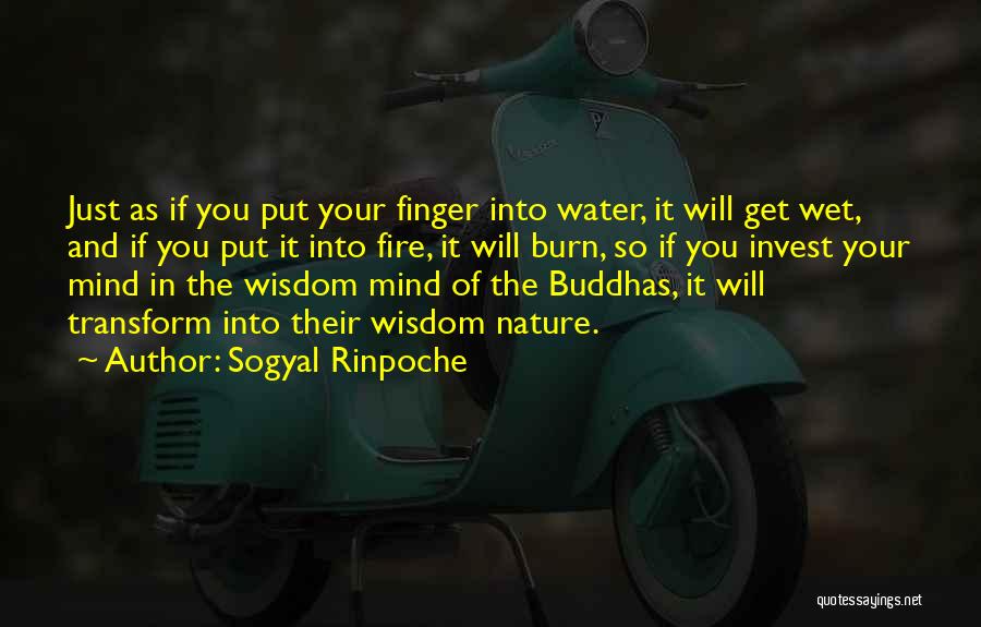 Invest In Your Mind Quotes By Sogyal Rinpoche