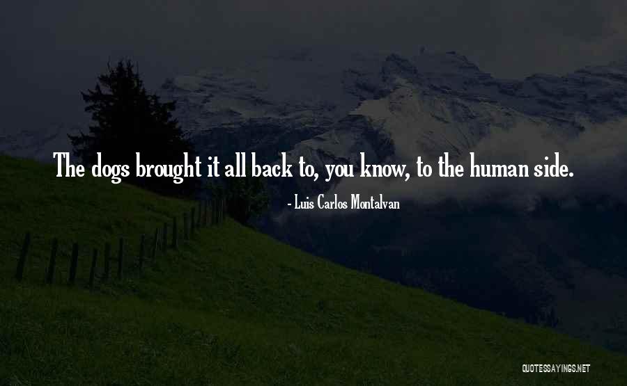 Investigates Again Quotes By Luis Carlos Montalvan Investigates Again Quotes By Luis Carlos Montalvan