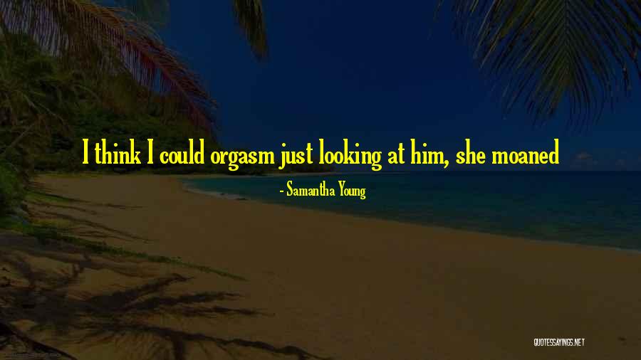 Investigates Again Quotes By Samantha Young Investigates Again Quotes By Samantha Young