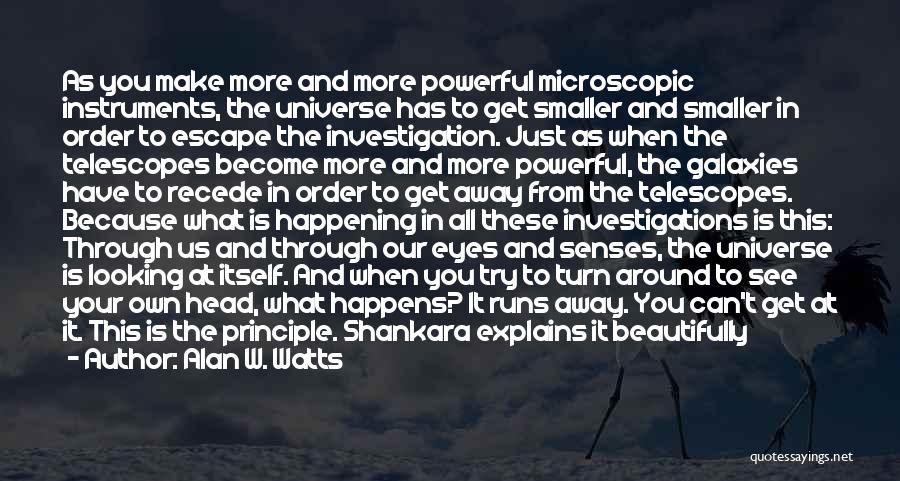 Investigation Discovery Quotes By Alan W. Watts