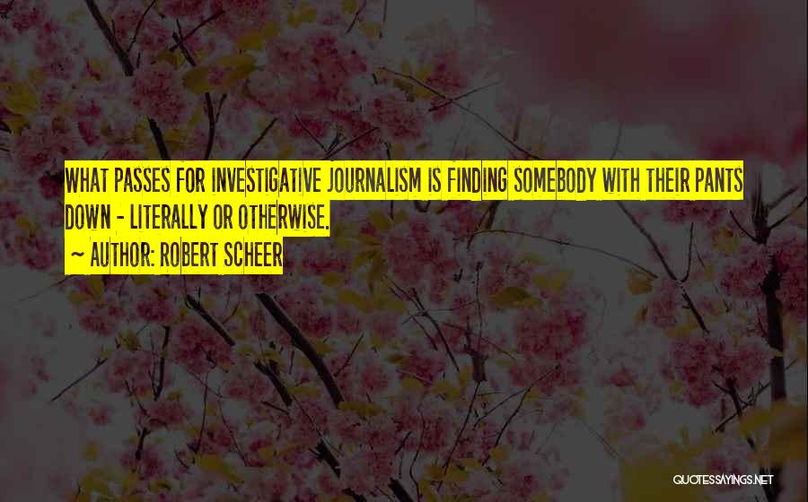 Investigative Quotes By Robert Scheer