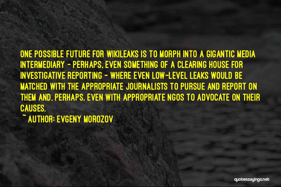 Investigative Reporting Quotes By Evgeny Morozov