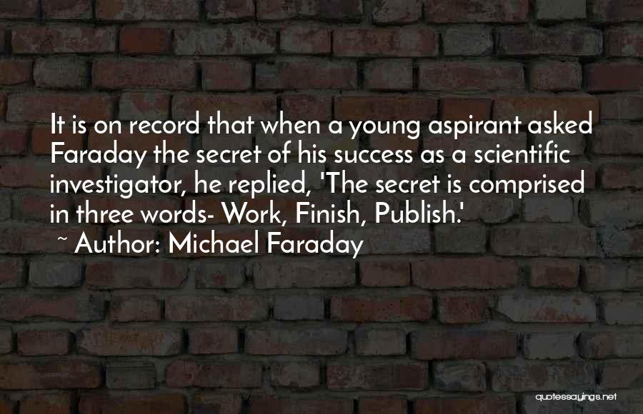 Investigator Quotes By Michael Faraday