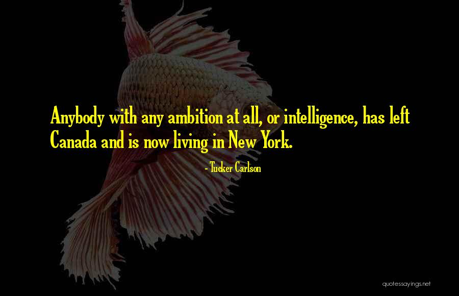 Investing In A Relationship Quotes By Tucker Carlson Investing In A Relationship Quotes By Tucker Carlson