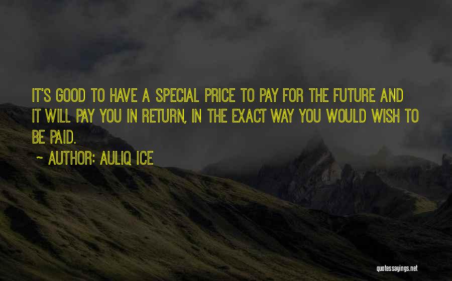 Investing In The Future Quotes By Auliq Ice