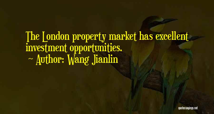 Investment Property Quotes By Wang Jianlin