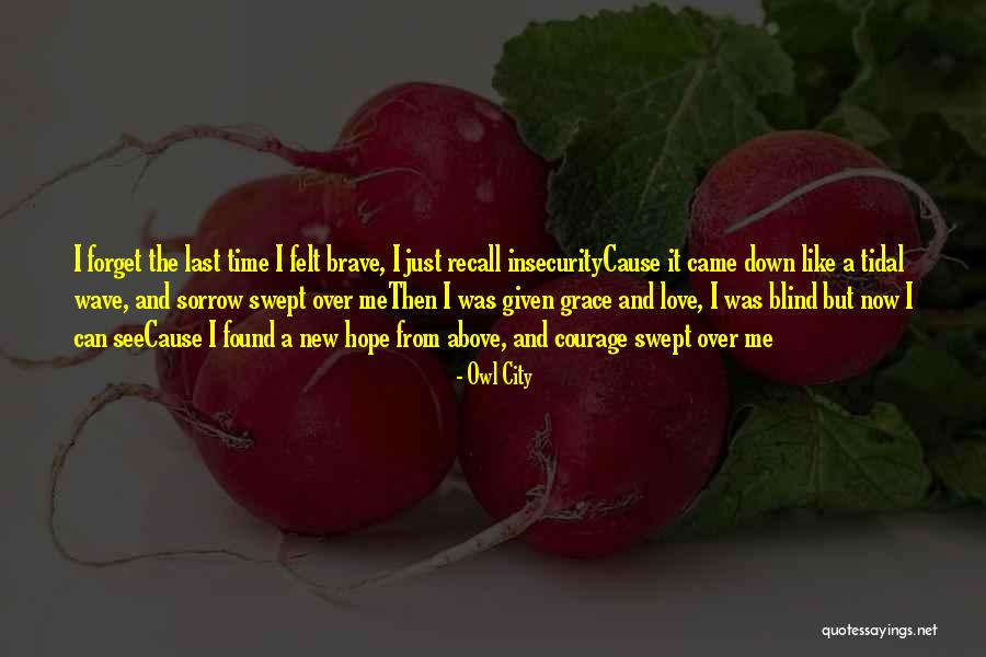 Inveterate Antipathies Quotes By Owl City Inveterate Antipathies Quotes By Owl City