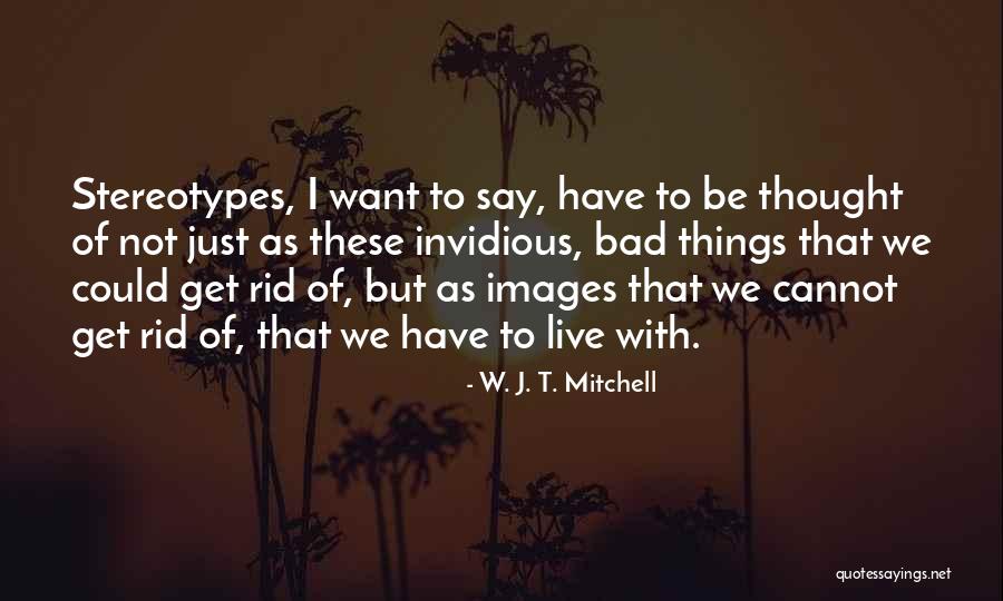 Invidious Quotes By W. J. T. Mitchell