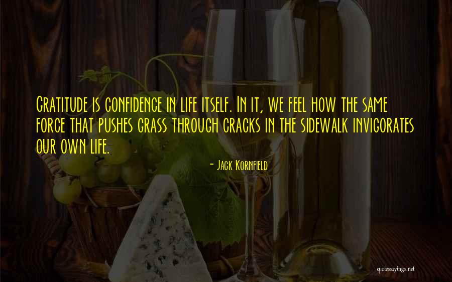 Invigorates Quotes By Jack Kornfield Invigorates Quotes By Jack Kornfield