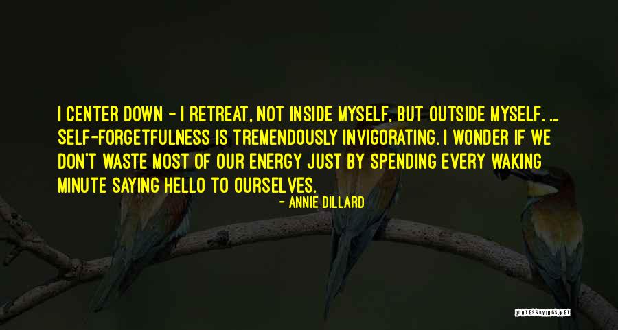 Invigorating Quotes By Annie Dillard