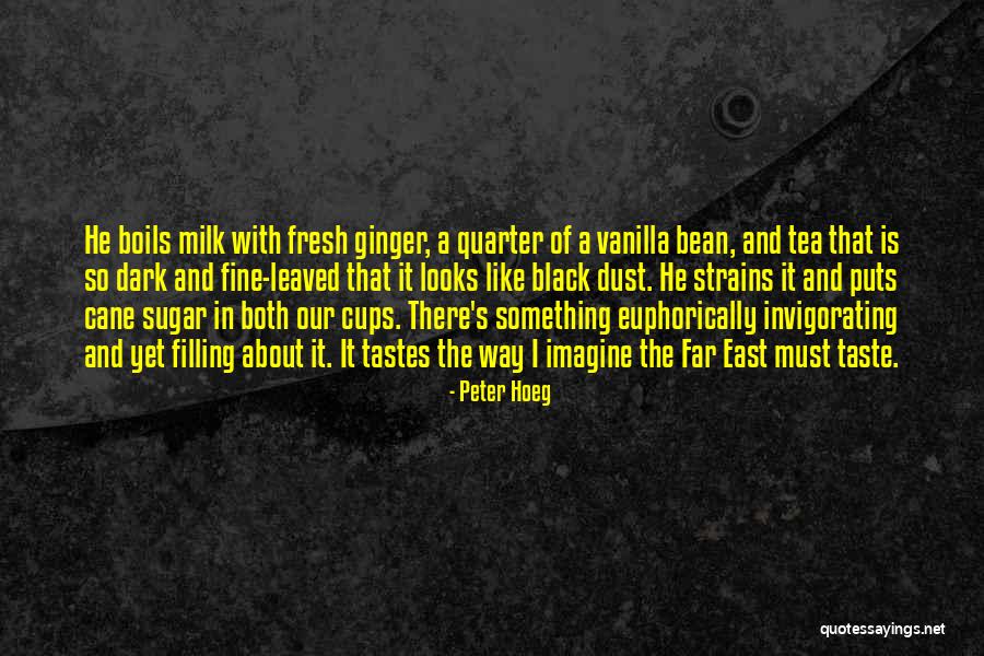 Invigorating Quotes By Peter Hoeg