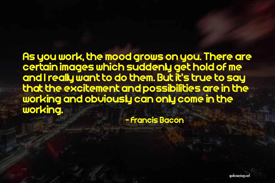 Invinsa Fr Quotes By Francis Bacon Invinsa Fr Quotes By Francis Bacon
