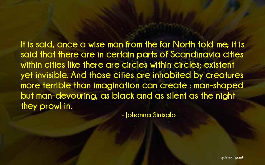 Invisible Cities Quotes By Johanna Sinisalo