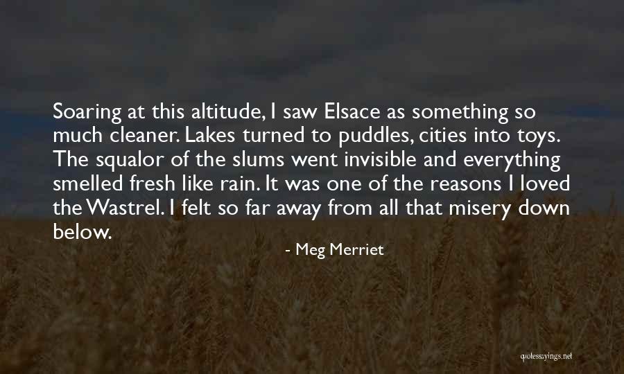 Invisible Cities Quotes By Meg Merriet