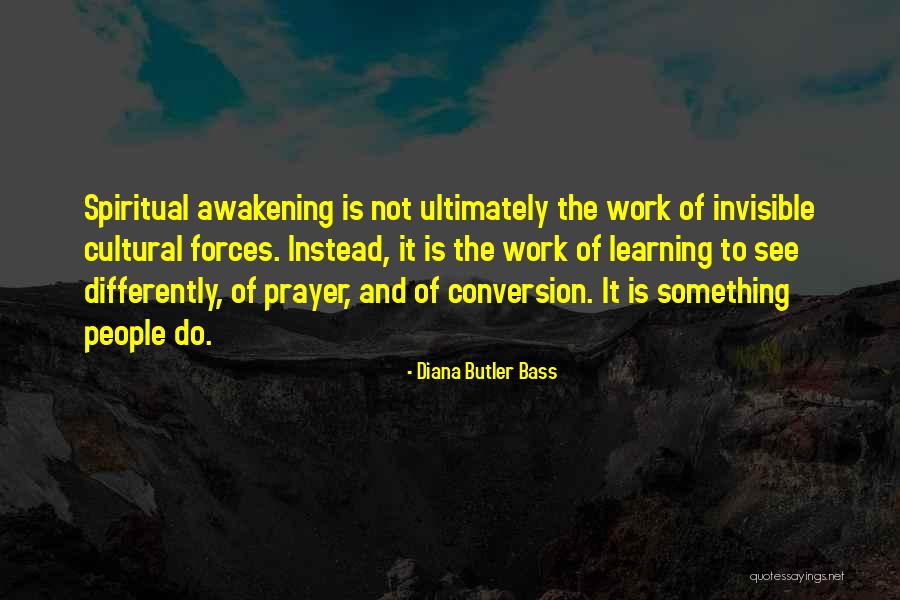Invisible Forces Quotes By Diana Butler Bass Invisible Forces Quotes By Diana Butler Bass