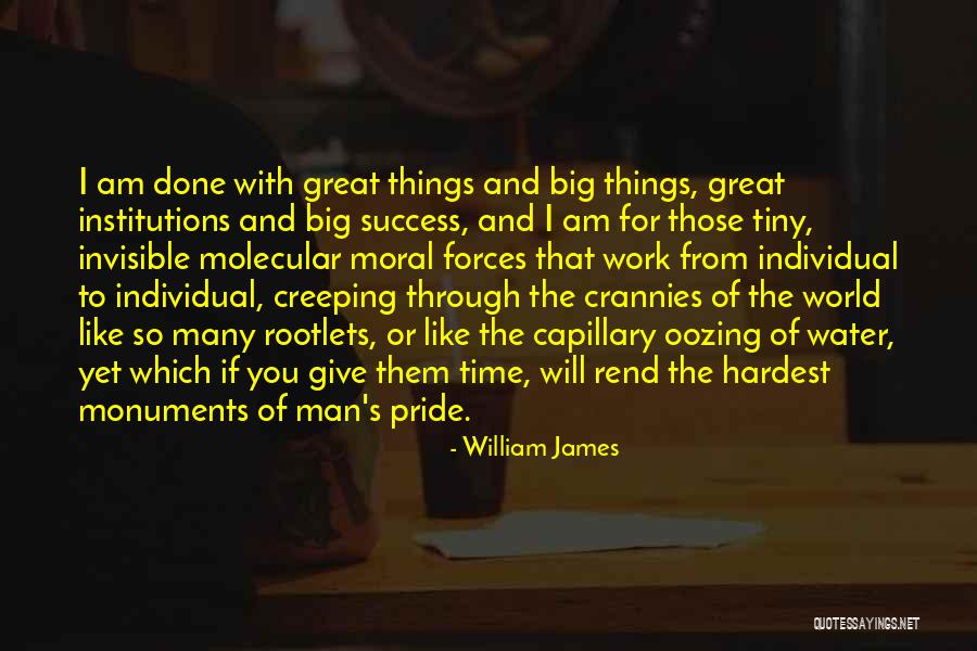 Invisible Forces Quotes By William James Invisible Forces Quotes By William James