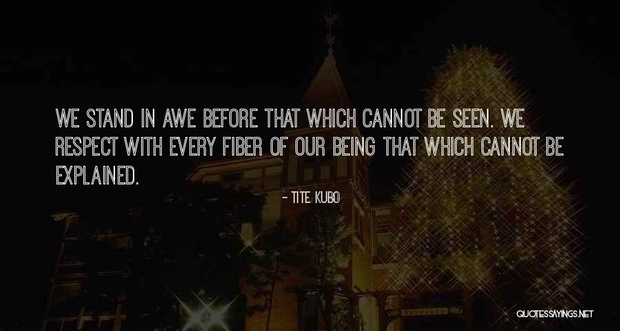 Invisible Invisible Spiders Quotes By Tite Kubo Invisible Invisible Spiders Quotes By Tite Kubo