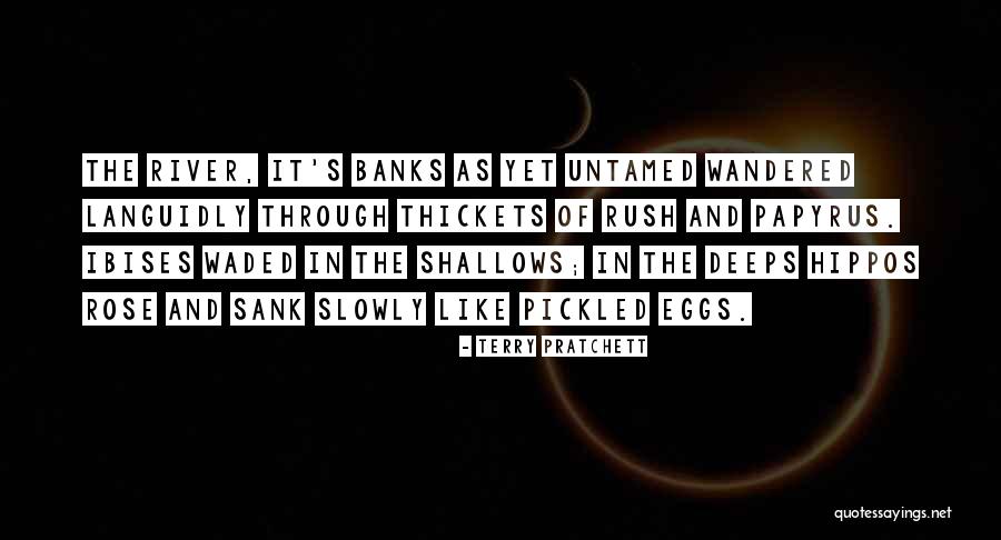 Invisible Man Griffin Quotes By Terry Pratchett Invisible Man Griffin Quotes By Terry Pratchett