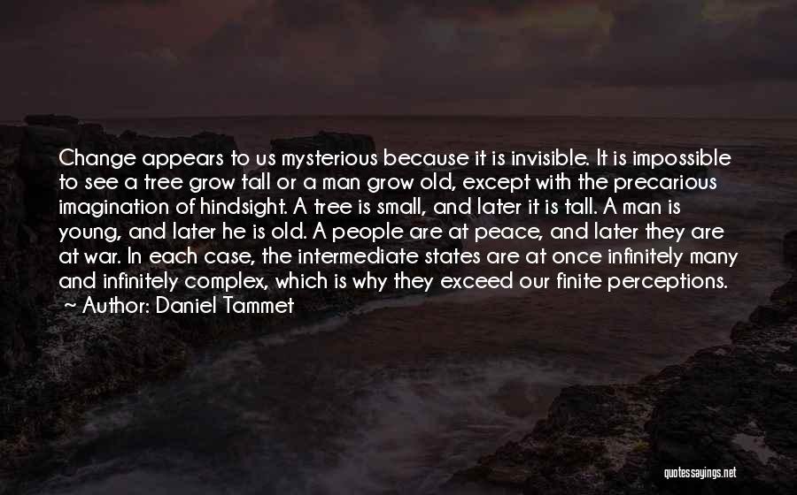 Invisible Man Quotes By Daniel Tammet