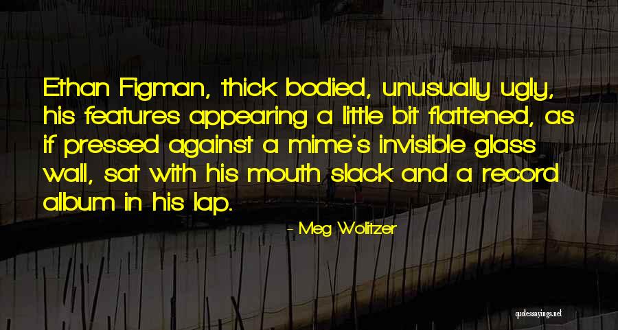 Invisible Wall Quotes By Meg Wolitzer Invisible Wall Quotes By Meg Wolitzer