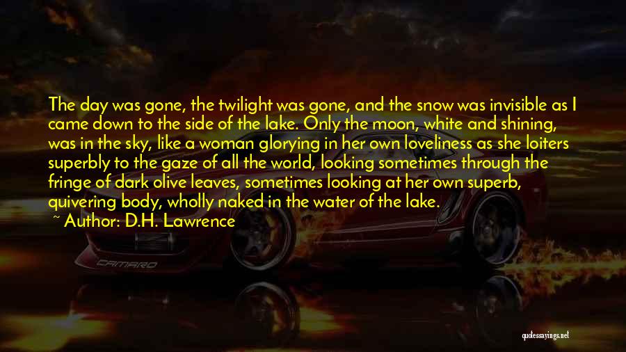 Invisible Woman Quotes By D.H. Lawrence