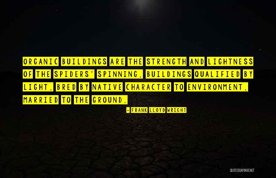 Invitarla A Salir Quotes By Frank Lloyd Wright Invitarla A Salir Quotes By Frank Lloyd Wright