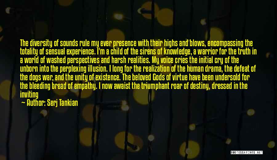 Inviting Drama Quotes By Serj Tankian
