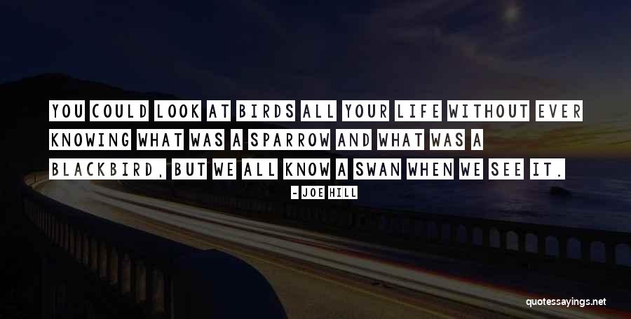 Involucral Quotes By Joe Hill Involucral Quotes By Joe Hill