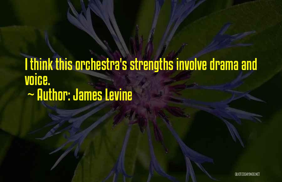 Involve Quotes By James Levine
