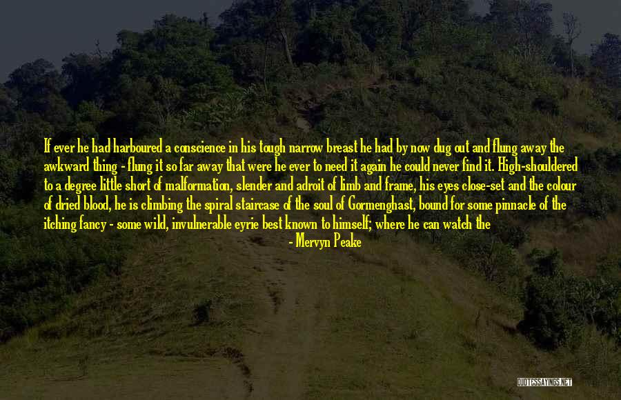 Invulnerable Quotes By Mervyn Peake Invulnerable Quotes By Mervyn Peake